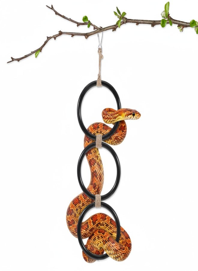 Zelphvt Snake Climbing Rings, Ball Python Tank Accessories, Reptile Enrichment Toys, Corn Snake Playground Climbing Toy for Bearded Dragon,Chameleon,Iguana,Gecko,Lizard 4.3 Inch Diameter, Black - Image 1